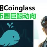Coinglass使用全解析：看懂巨鲸动向，掌握比特币短线行情的秘密