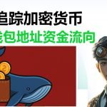 如何追踪加密货币巨鲸钱包地址？