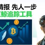 5款加密货币鲸鱼追踪工具推荐：实时掌握巨鲸资金流向