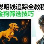 GMGN五星金狗筛选实战，教你用链上数据锁定暴涨潜力币